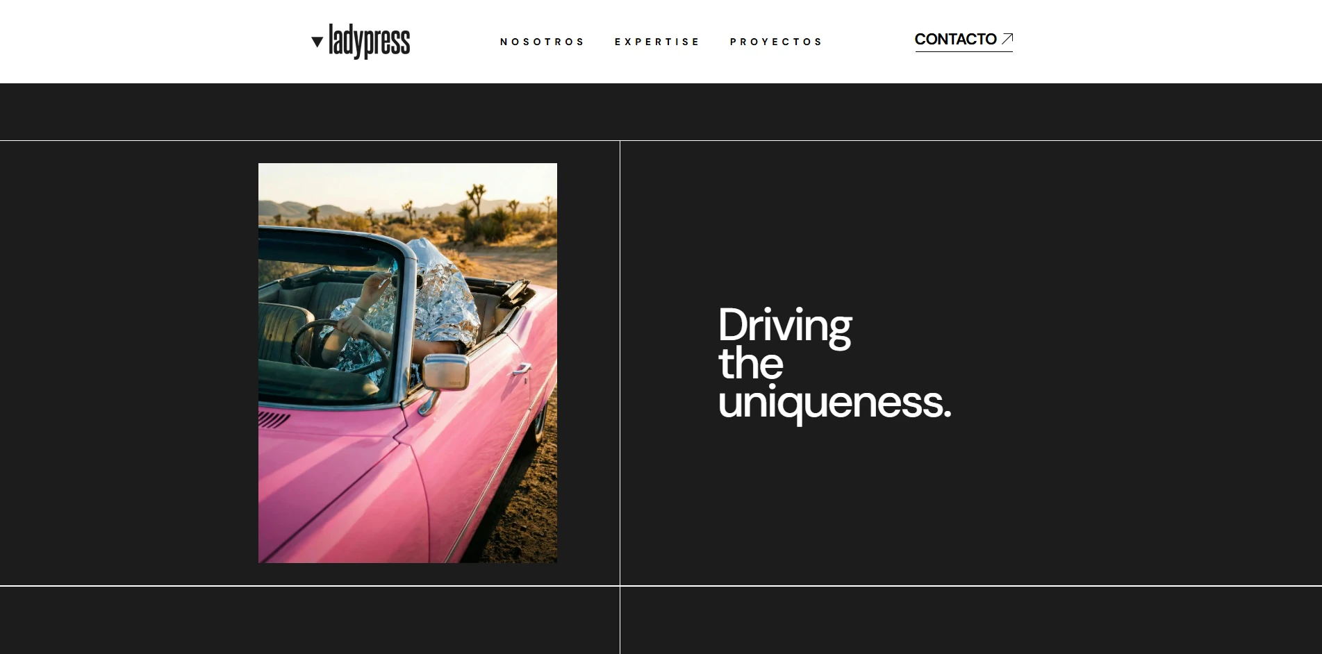 Ladypress 1 ladypress-web